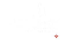 Logo-Triathlon-2024--BLANC--optical-center-v2